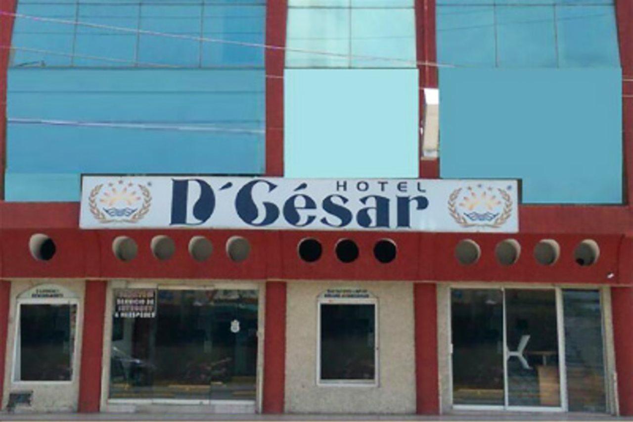 D'Cesar Hotel Akapulko Dış mekan fotoğraf